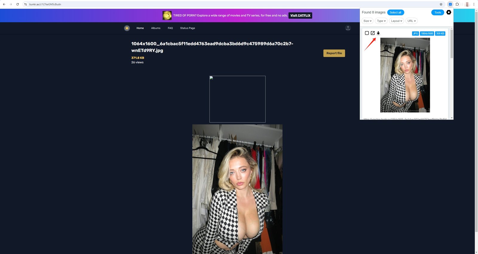 sites like bunkr albums